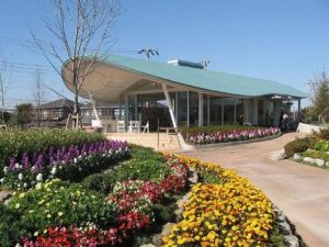 東松戸ゆいの花公園